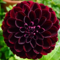 �������� ���������� ���� ������