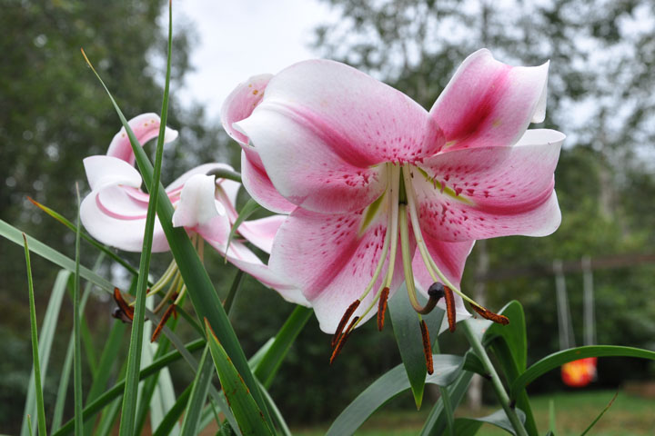 f1_4ca3b344-d8e9-4642-879e-e755e3e37ad6