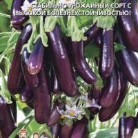 baklazhan-princ-skazochnyy