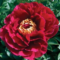 f1_b27b4865-ea08-42be-9ac8-7c07322f3250