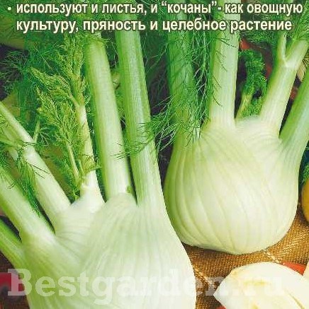 НоменклатураПрисоединенныеФайлы НоменклатураПрисоединенныеФайлы
