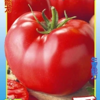 ����� ��������� �������������� 0,1 ��.