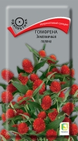 gomfrena_zemlyanichnaya_polyna