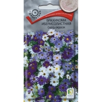 ��������� ��������������  ����� �������