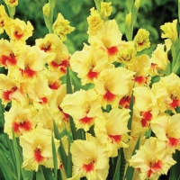 ��������� �������