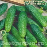 �������������������������������