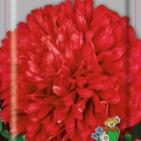 ����� ����������� ������ �������