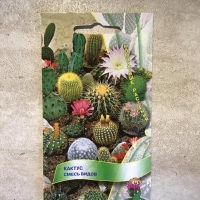 ������ ����� �����