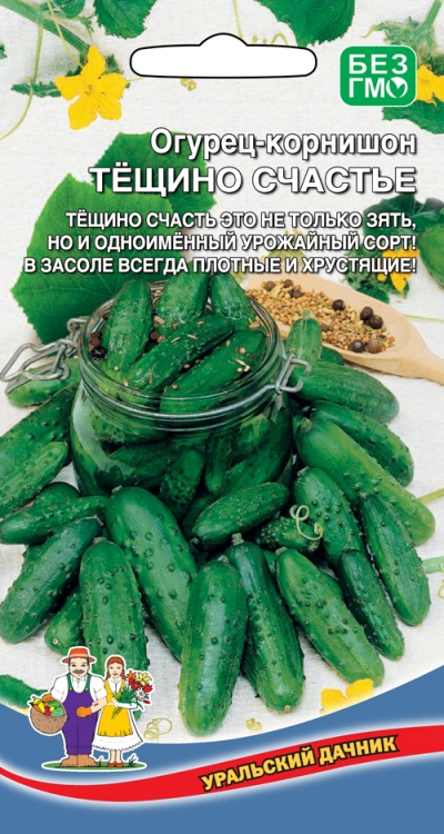 ������ ������ �������