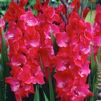 f1_71d96699-330e-465d-a02a-26f66da368fe