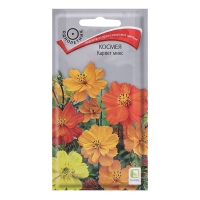 ������ ������ 0