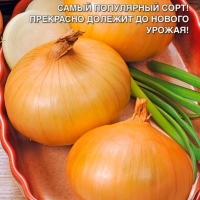 ��� �������� ����������� �����