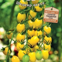 ����� ������ ������ F1