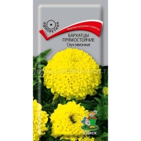 ���� ��������