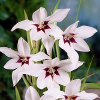 f1_f673865c-e409-4dab-a98e-0197e6049904