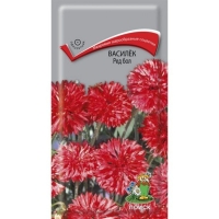 ������ ��� ���