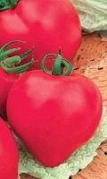 tomat-rozovoe-serdce