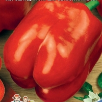 �������������������������������