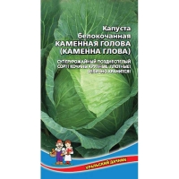 �������� ������