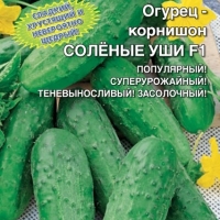 �������������������������������