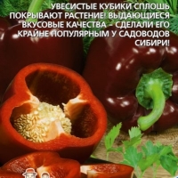 �������������������������������