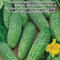 ���� �� �����