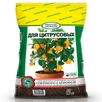 �������������������������������