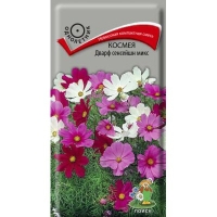 ������ ����� �������� ����