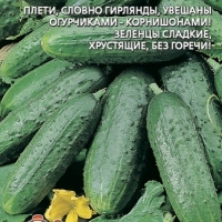 ������ - �������� ����� F1