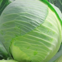 �������������������������������