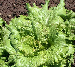 f1_cab4a8e3-e44a-4d69-9d52-5feccaab7c9d