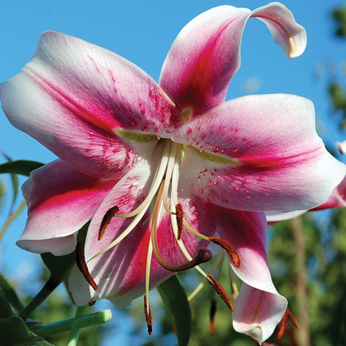 f1_066e50aa-33b7-458b-b22e-3af73df7dec4