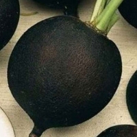 ������-������-�������-������