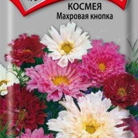 ������ �������� ������ 0,1��.