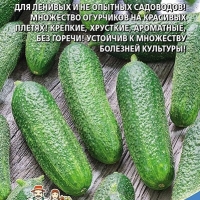 �� ����� �� ������