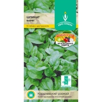 ������ �����