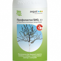 ����������� ���