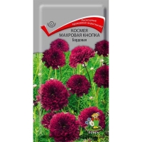 ������ �������� ������ ��������