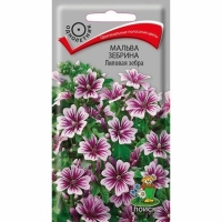 ������ ������� ������� �����