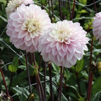 �������59