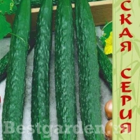 �������������������������������