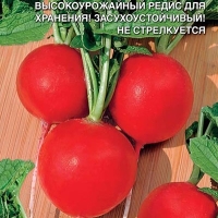 �������������������������������