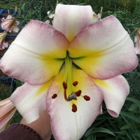 �������������������������������