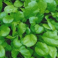 �������������������������������