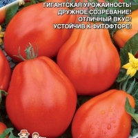 ����� ��������� ����� �������