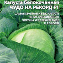 �������-������������-����-��-������-F1