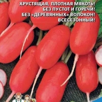 �������� ���� �