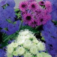  / �������� �������� ������ ��/���