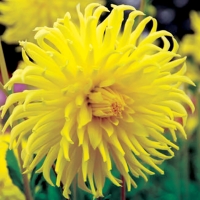 f1_6cc67cc4-856b-4c5e-86f9-4ade1501a641