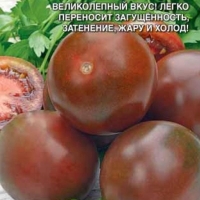 ����� ������ ��� F1